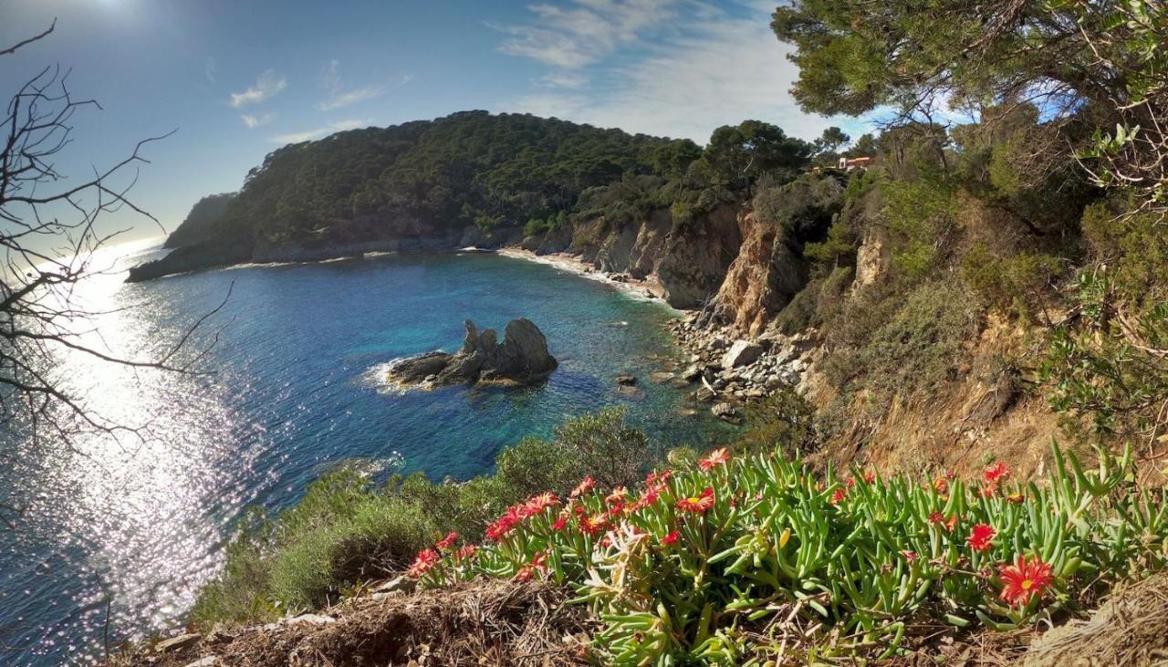 Studio Proche Port Et Plages, Piscine Hyères Eksteriør bilde